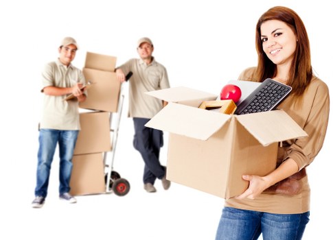 Waste removal and lawful disposal during a van service