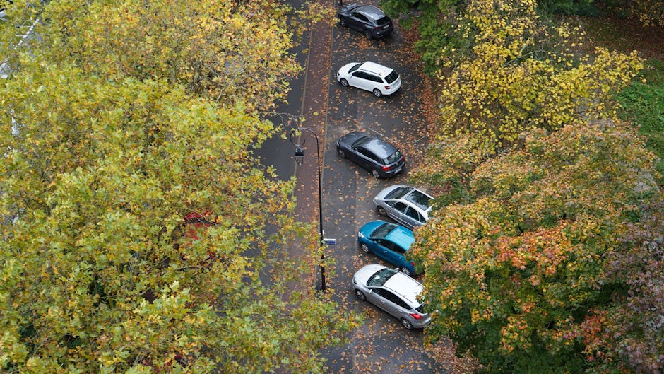 An aerial view taken from above shows a snow-covered parking area adjacent to a tree-lined road. The parking lot contains multiple vehicles including cars of various colours, parked in a haphazard arr